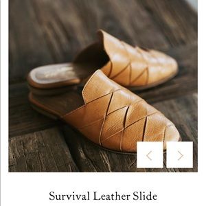 Seychelles Survival Slides